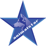 Filmtierschule und Filmtiertrainer ANIMALSTAR Düsseldorf