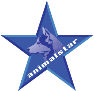 Filmtierschule und Filmtiertrainer ANIMALSTAR Düsseldorf