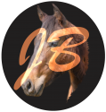 JB Western Horse Ranch