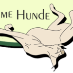 Krumme Hunde – Physio Therapie Praxis für Tiere