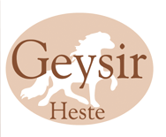 Geysir Heste