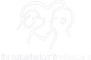 Hundeskolen Trofast