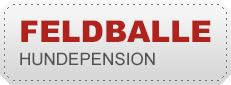 Feldballe Hundepension