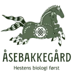 Åsebakkegård