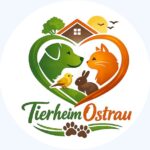 Tierheim Wiesengrund Tierschutzverein Döbeln u.U. e.V.