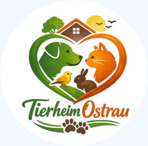 Tierheim Wiesengrund Tierschutzverein Döbeln u.U. e.V.