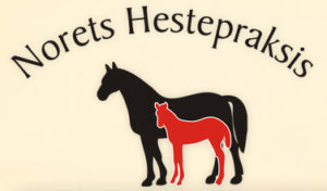 Norets Hestepraksis