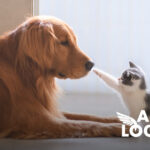 AnimalLogistics FRA GmbH