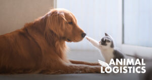 AnimalLogistics FRA GmbH