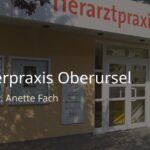 Kleintierpraxis Oberursel Dr. med. vet. Anette Fach
