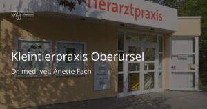 Kleintierpraxis Oberursel Dr. med. vet. Anette Fach