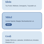 HUNDESALON OH MY DOG! – HUNDEFRISEUR STUTTGART & KATZENSALON OH MY CAT!