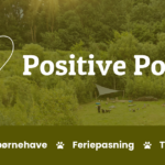 Positive Poter
