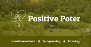 Positive Poter