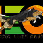 InDog Elite Center