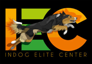 InDog Elite Center
