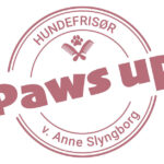 Paws Up – Skive Hundefrisør