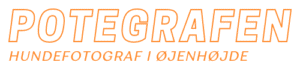 Potegrafen