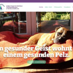 ReguThera – Mobile Hundephysio & Tierheilpraxis