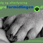 Dyreformidlingen.dk