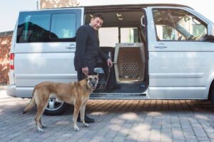 Tier-Taxi/Pet-Taxi