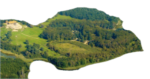 Gestüt Inselhof
