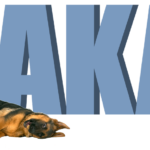 Kennel Team Pakas