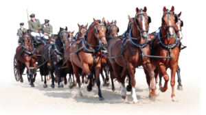 Landgestüt Redefin