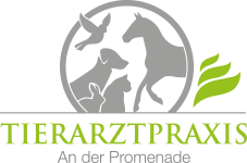 Tierarztpraxis Dr. Annemarie Blanke GmbH