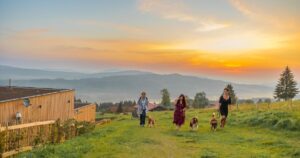 Hunderesort Waldeck