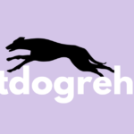 vetdogrehab – Tierärztliches Rehazentrum Verden