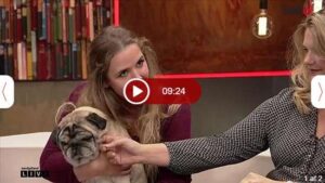 Kiropraktik Dyrlægen v/Camilla Rasmussen