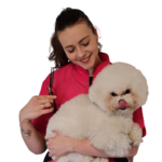 Hundesalon Lucky Dog